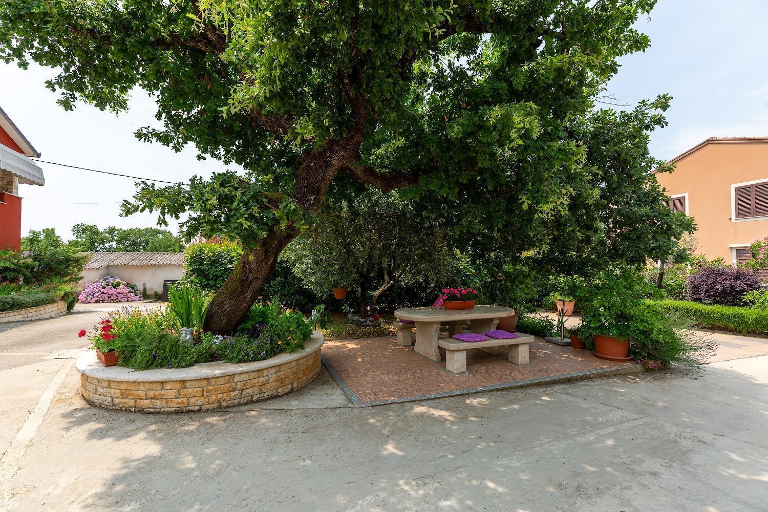 Vižinada Apartman Angolo Verde מראה חיצוני תמונה